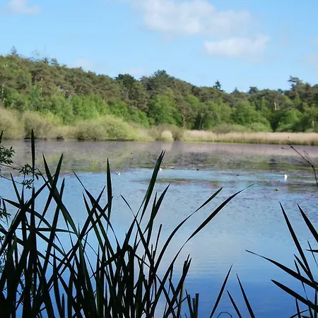 Schwedenhaus Διαμέρισμα *